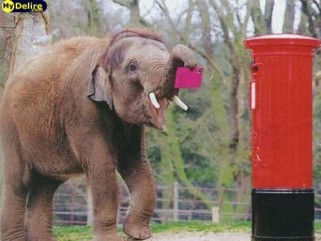 courrier !!!!